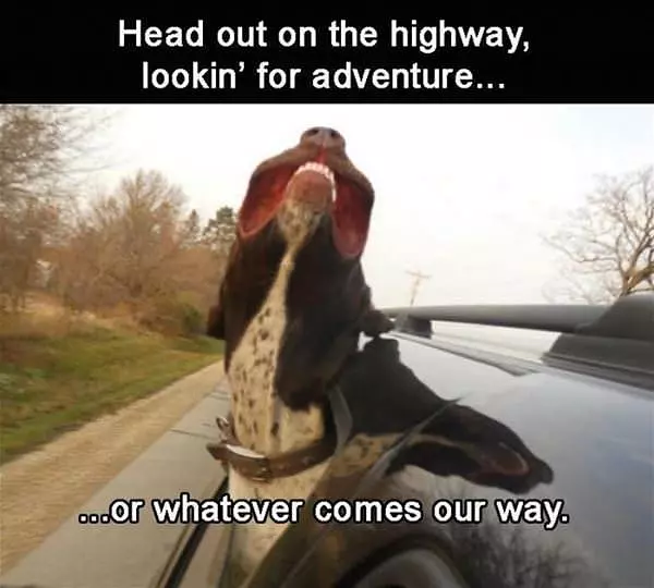 Whatever Comes Your Way