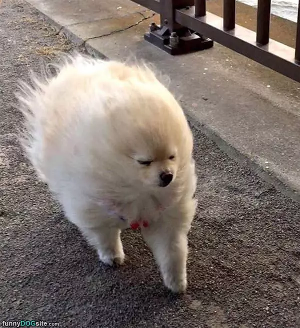 I Am Fabulous