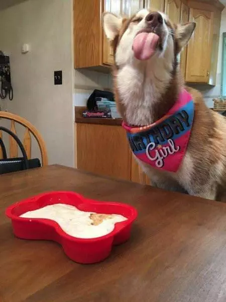 Birthday Girl