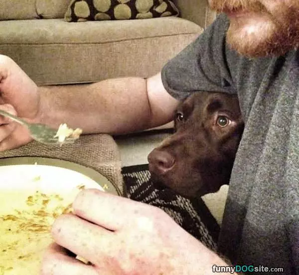 I Want A Bite