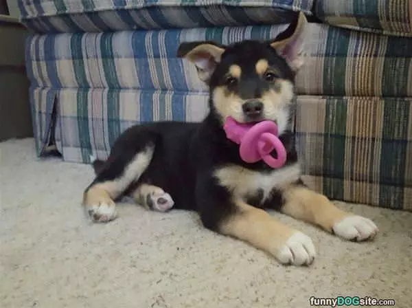This Is Like My Binky