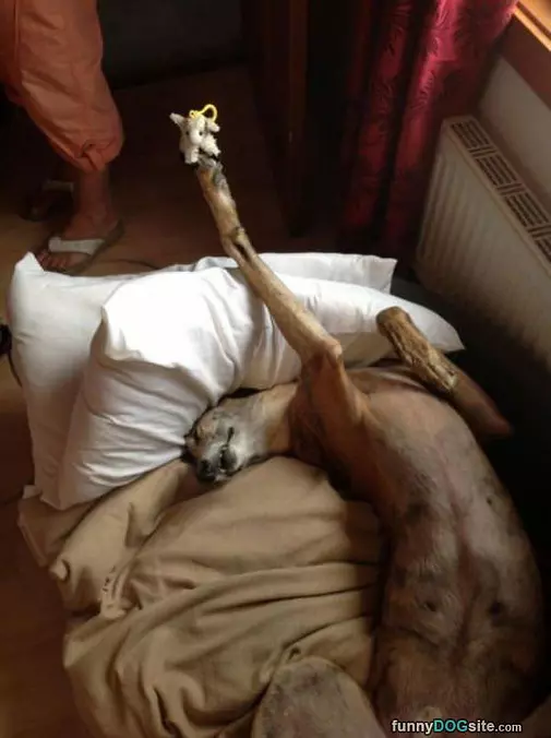 I Am Very Relaxed