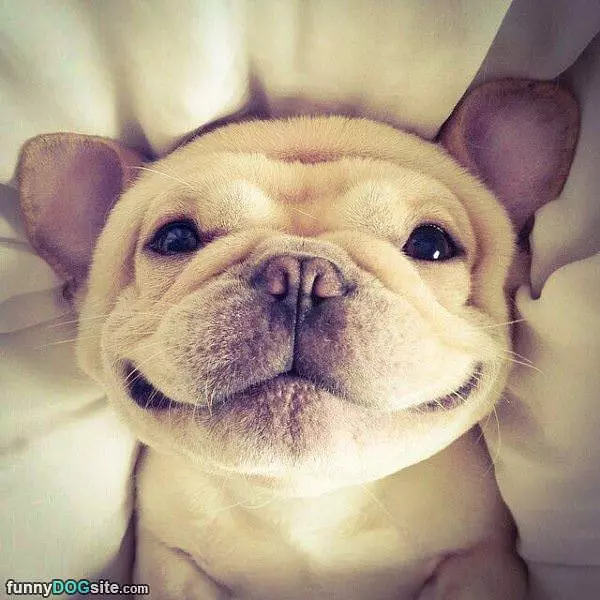 Cute Smile