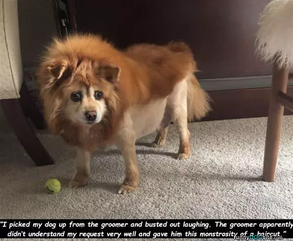 Good Haircut