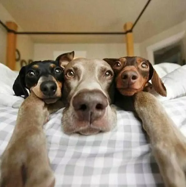 Doing Our Selfies