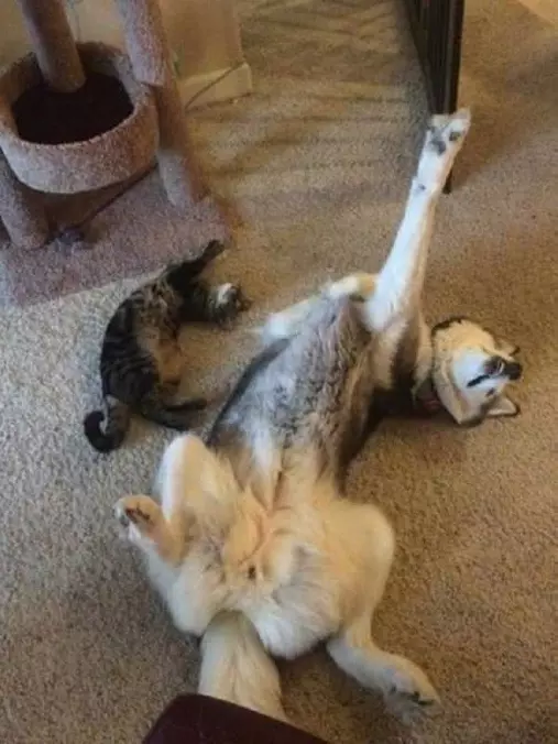 Yoga Time