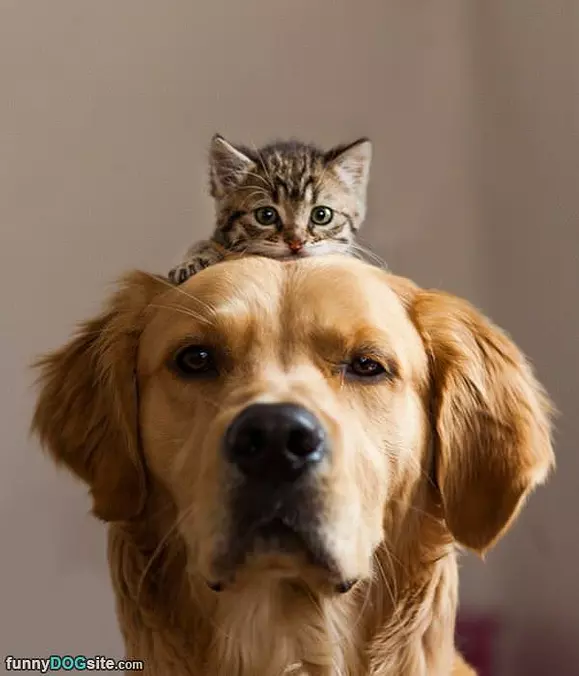 Me And My Big Buddy