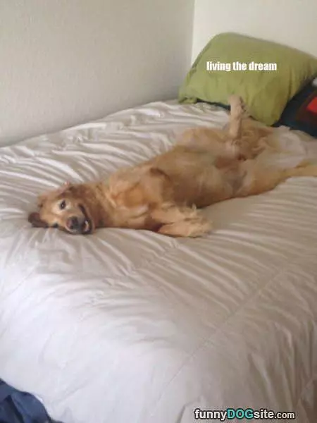 Like Saturday Morning