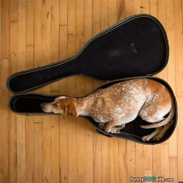 Ill Take The Big Bed