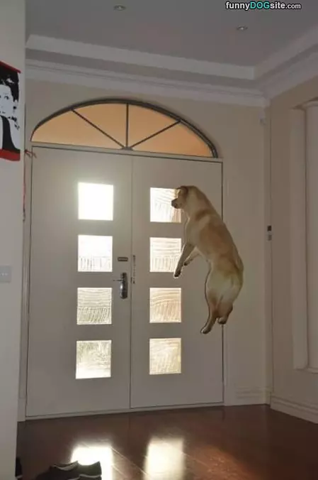 Love The Top Window