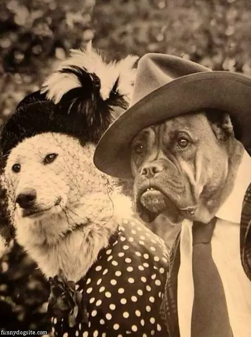 Old Timer Wedding