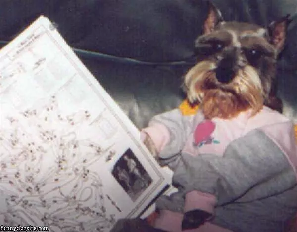 Just Some Light Reading