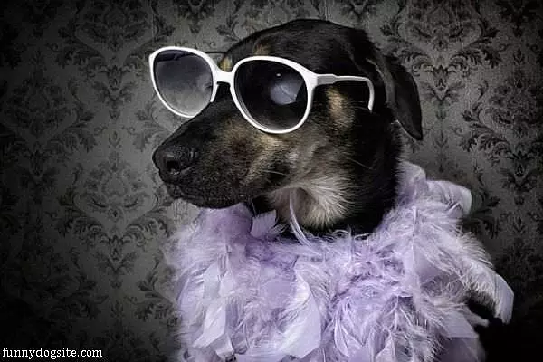 Fabulous