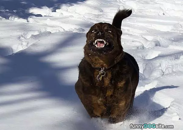 I Looooove Snoooow