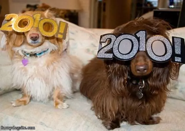 2010