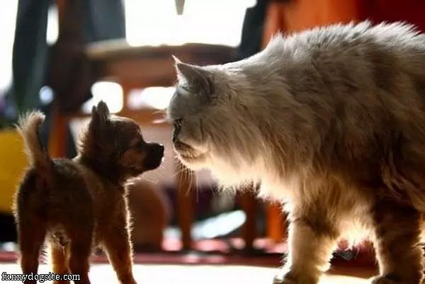 Will You Be My Friend