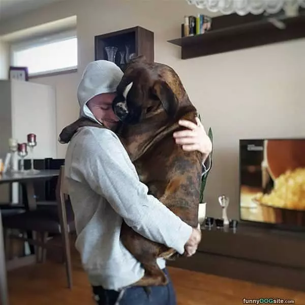 Big Hug
