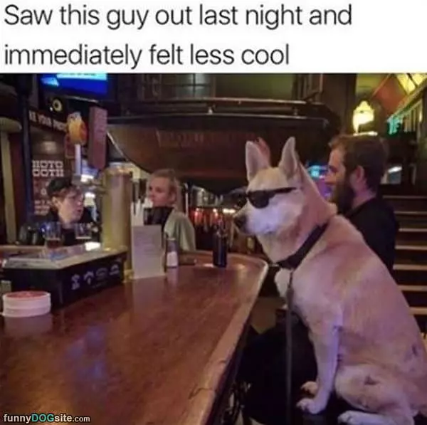 Way Less Cool Now