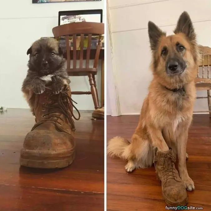 I Got A Little Bigger