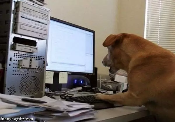 Internet Surfing