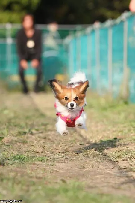 Running Free