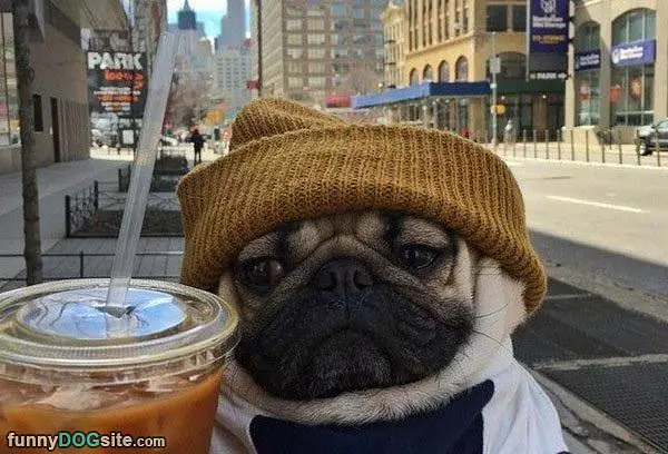 Keeping My Head Warm