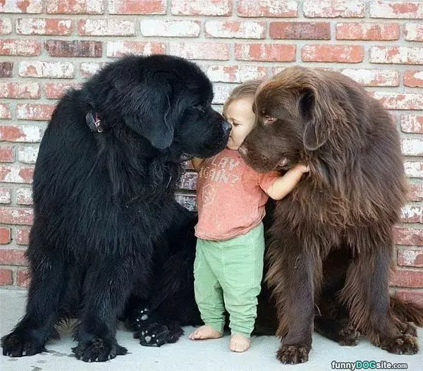 Hey Little Buddy