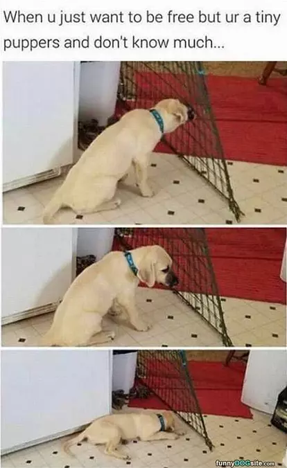 Life Is Hard