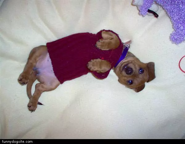 Nice Sweater