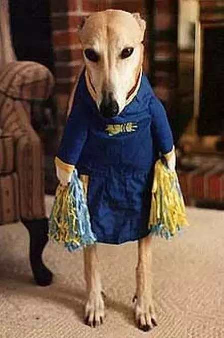 Cheerleader