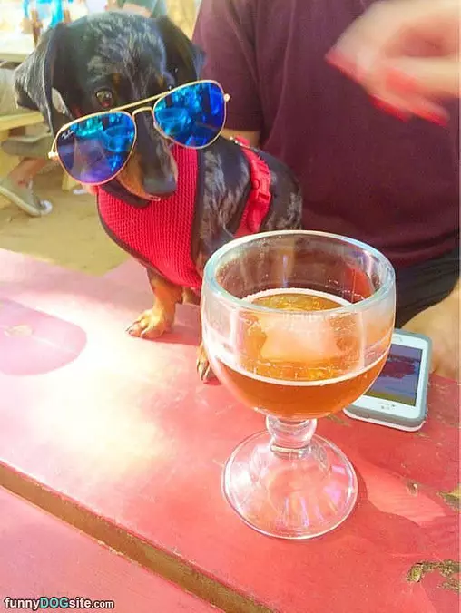 Nice Glasses