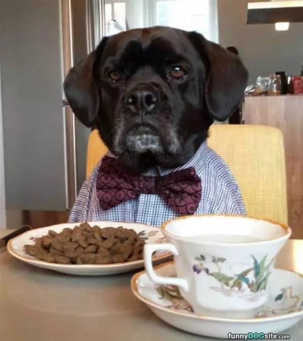 Here For Dinner
