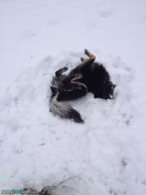 Playing In The Snow