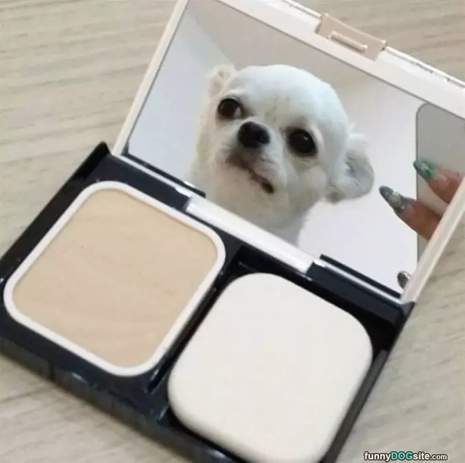 Look At Me