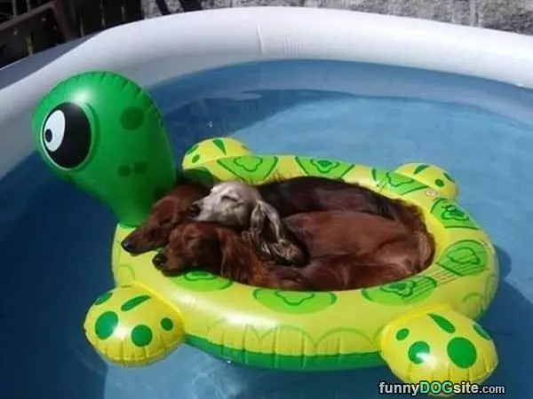A Raft Full