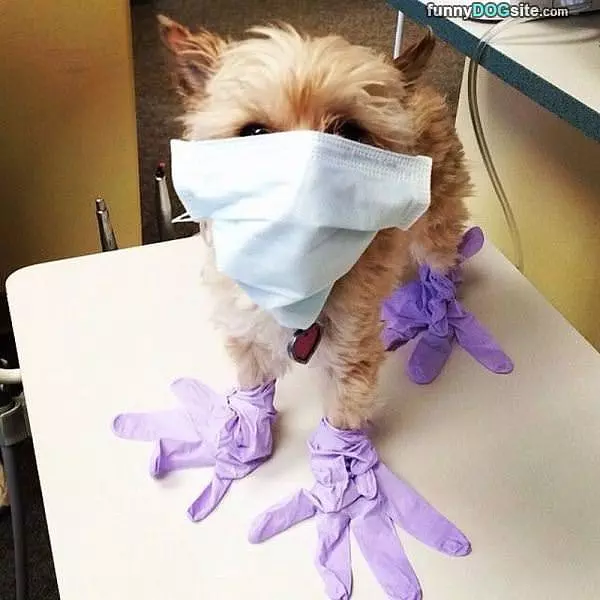Ready For Surgery