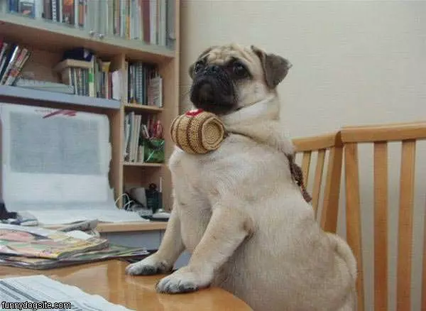 Im Ready For Mah Breakfast