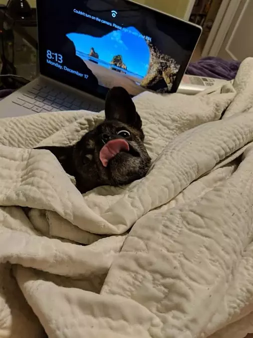 Under The Blankets