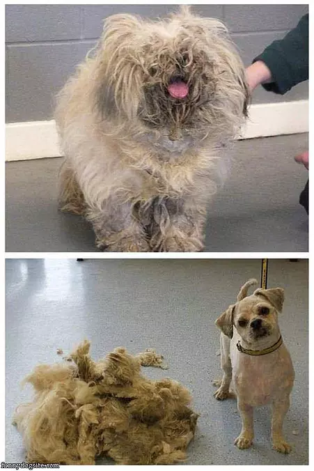 Before And After