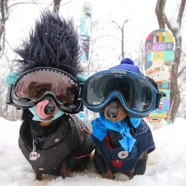Ready To Ski