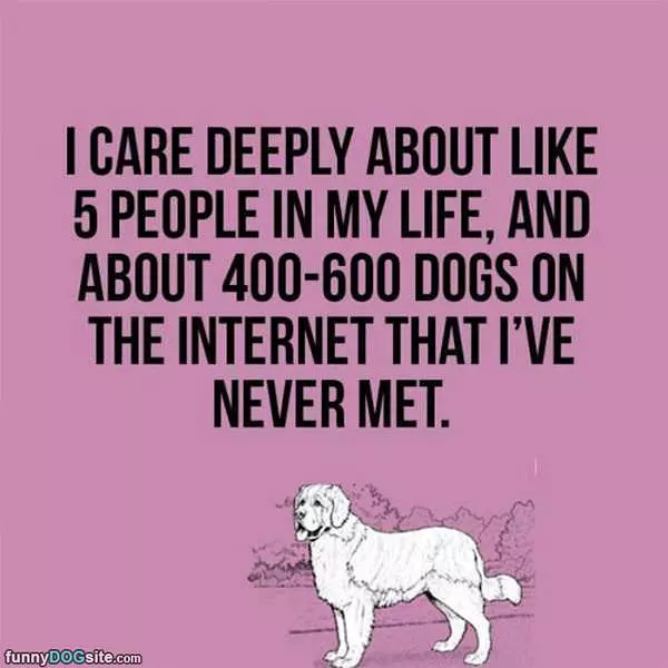 I Care Deeply