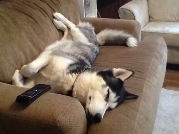 Whole Couch Is Mine