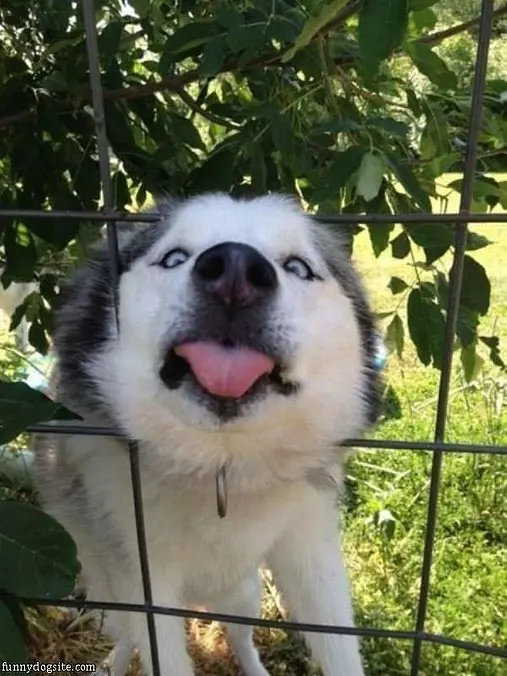 Give Me A Kiss