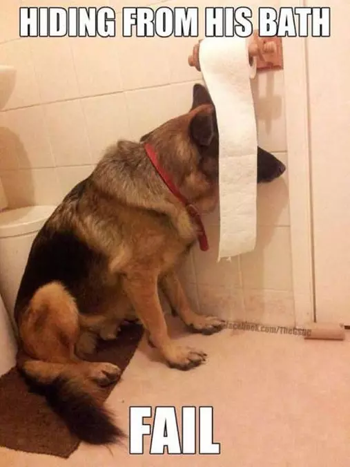 Hiding From The Bath
