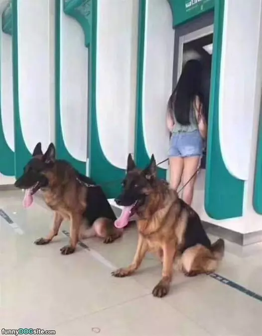 Protection