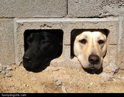 Holes