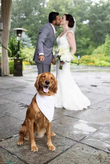 Happy Wedding Day