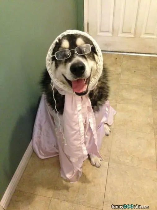 Now I Am Ready To Go