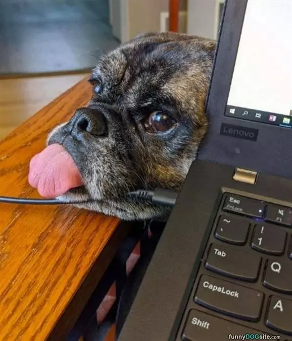 Tongue Out