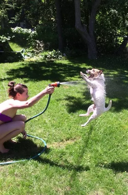 Gimme Gimme Gimme The Water